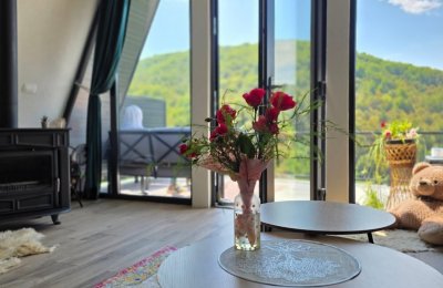 Villa Crni Biser